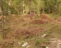 Aufstieg Pleisenspitze