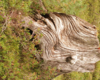 Aufstieg Pleisenspitze