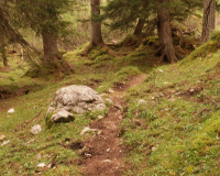 Aufstieg Pleisenspitze