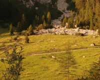 Aufstieg Pleisenspitze
