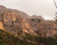 Aufstieg Pleisenspitze