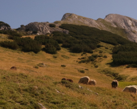 Aufstieg Pleisenspitze