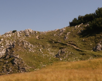 Aufstieg Pleisenspitze