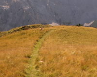 Aufstieg Pleisenspitze