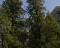 Aufstieg Pleisenspitze