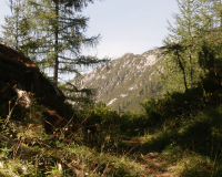 Aufstieg Pleisenspitze
