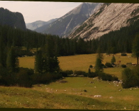 Aufstieg Pleisenspitze