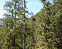 Aufstieg Pleisenspitze