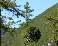 Aufstieg Pleisenspitze