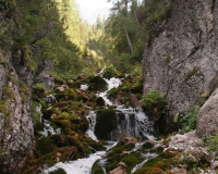 Aufstieg Pleisenspitze