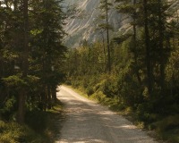 Aufstieg Pleisenspitze