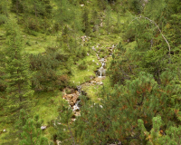 Aufstieg Pleisenspitze