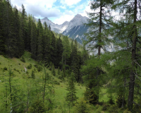 Aufstieg Pleisenspitze