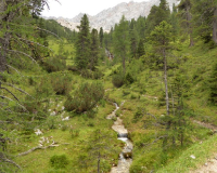 Aufstieg Pleisenspitze
