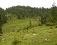 Aufstieg Pleisenspitze