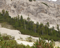 Aufstieg Pleisenspitze