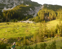 Aufstieg Pleisenspitze