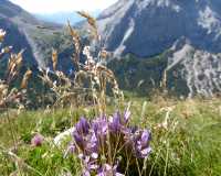 Aufstieg Pleisenspitze
