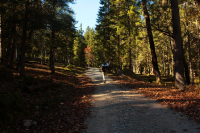 Tag 1 - Weg zum Rontal - am Rissbach bei Hinterriss