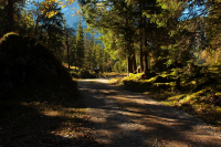 Tag 1 - Weg zum Rontal - am Rissbach bei Hinterriss