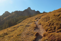 Tag 1 - auf dem Rappenklammspitze Steig