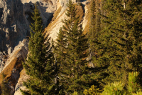 Tag 1 - bei der Rappenklammspitze (1835m)