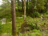 tobender Lainbachwasserfall