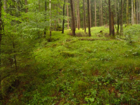 tobender Lainbachwasserfall