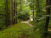 tobender Lainbachwasserfall