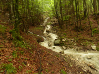 tobender Lainbachwasserfall