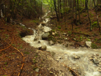 tobender Lainbachwasserfall