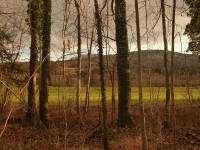 von Kochel über Ried zur Melkstattalm (770m)