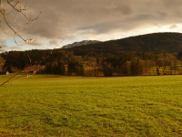 von Kochel über Ried zur Melkstattalm (770m)