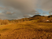 von Kochel über Ried zur Melkstattalm (770m)