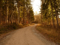 von Kochel über Ried zur Melkstattalm (770m)