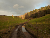 von Kochel über Ried zur Melkstattalm (770m)