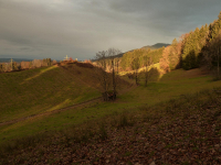 von Kochel über Ried zur Melkstattalm (770m)
