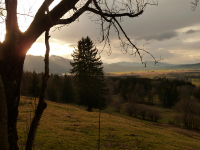 von Kochel über Ried zur Melkstattalm (770m)