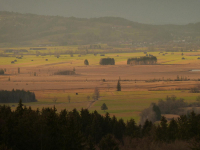von Kochel über Ried zur Melkstattalm (770m)