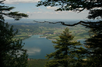 Desselkopf Reginas Fotos