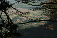 Desselkopf Reginas Fotos