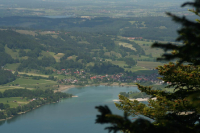 Desselkopf Reginas Fotos