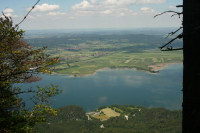 Desselkopf Reginas Fotos