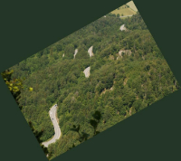 Desselkopf Reginas Fotos