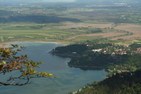 Desselkopf Reginas Fotos