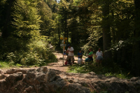 Desselkopf Reginas Fotos