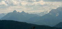 Desselkopf Reginas Fotos)