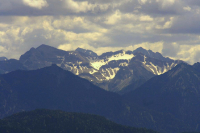 Desselkopf Reginas Fotos)