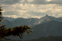 Desselkopf Reginas Fotos)