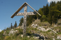 Desselkopf Reginas Fotos)
